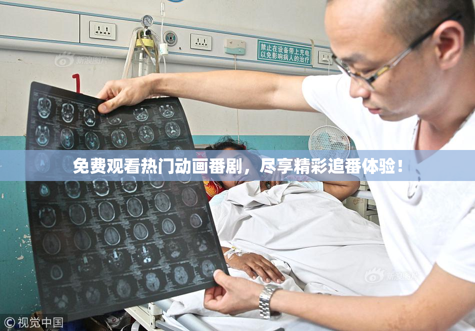 免费观看热门动画番剧，尽享精彩追番体验！