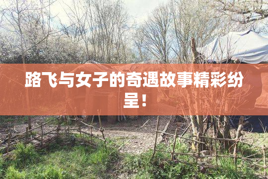 路飞与女子的奇遇故事精彩纷呈！