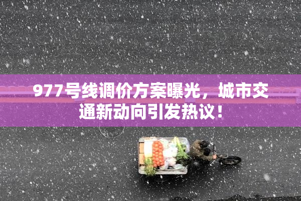 977号线调价方案曝光，城市交通新动向引发热议！