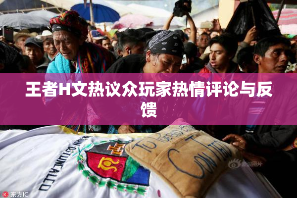王者H文热议众玩家热情评论与反馈