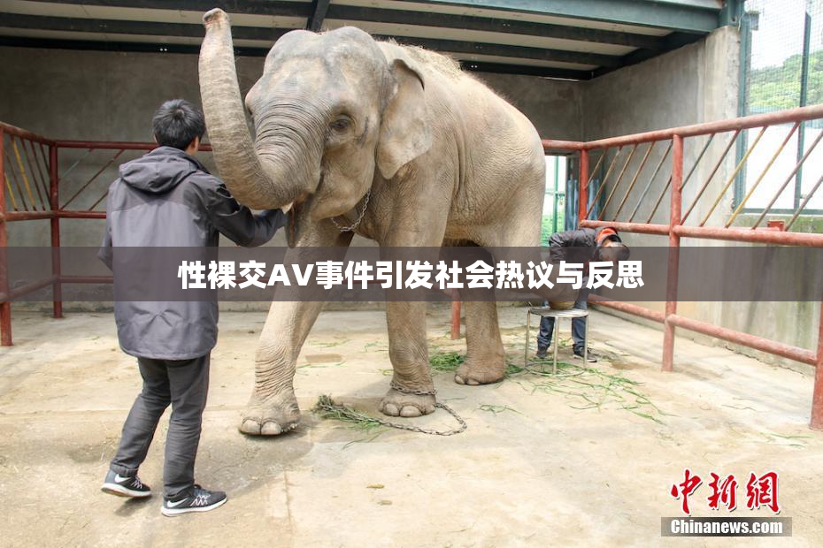 性裸交AV事件引发社会热议与反思