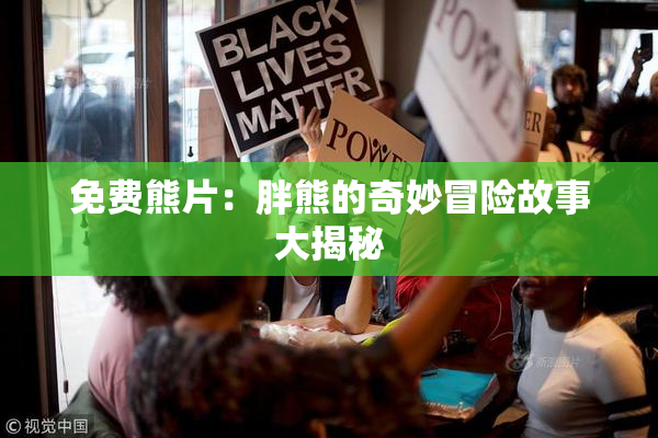 免费熊片：胖熊的奇妙冒险故事大揭秘