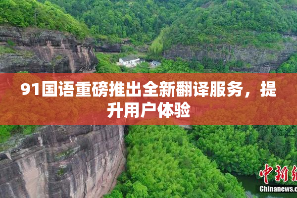 91国语重磅推出全新翻译服务，提升用户体验