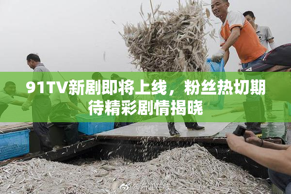 91TV新剧即将上线，粉丝热切期待精彩剧情揭晓