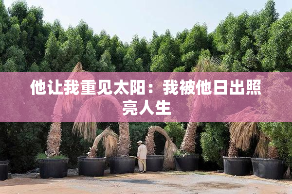 他让我重见太阳：我被他日出照亮人生