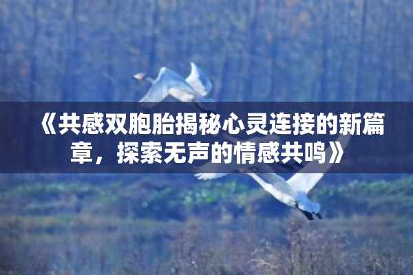 《共感双胞胎揭秘心灵连接的新篇章，探索无声的情感共鸣》