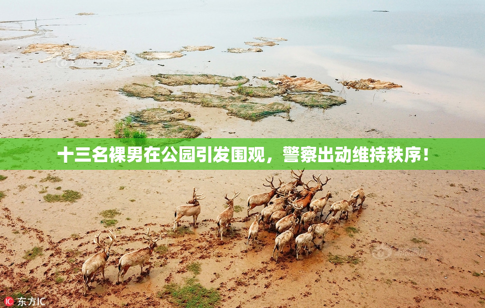十三名裸男在公园引发围观，警察出动维持秩序！