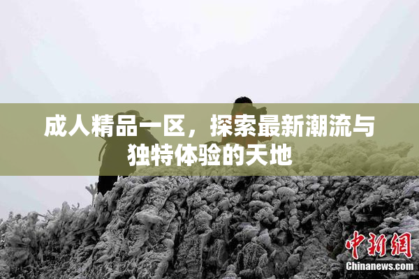 成人精品一区，探索最新潮流与独特体验的天地