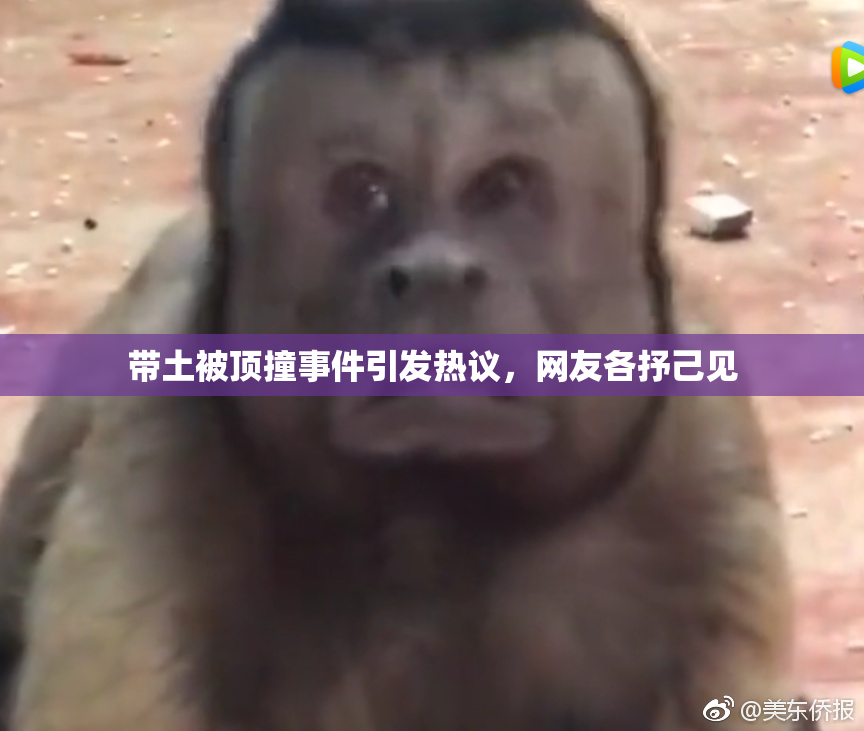 带土被顶撞事件引发热议，网友各抒己见