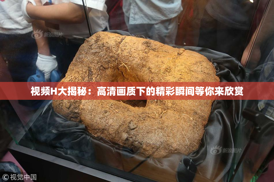 视频H大揭秘：高清画质下的精彩瞬间等你来欣赏
