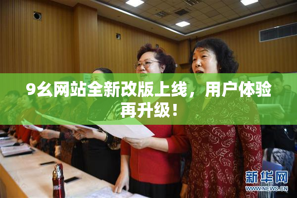 9幺网站全新改版上线，用户体验再升级！