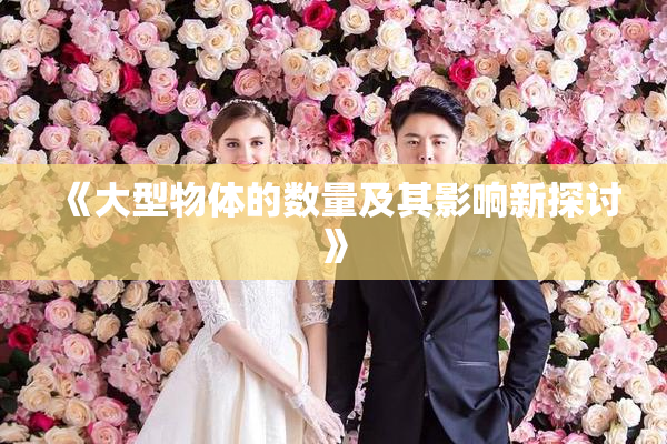 《大型物体的数量及其影响新探讨》