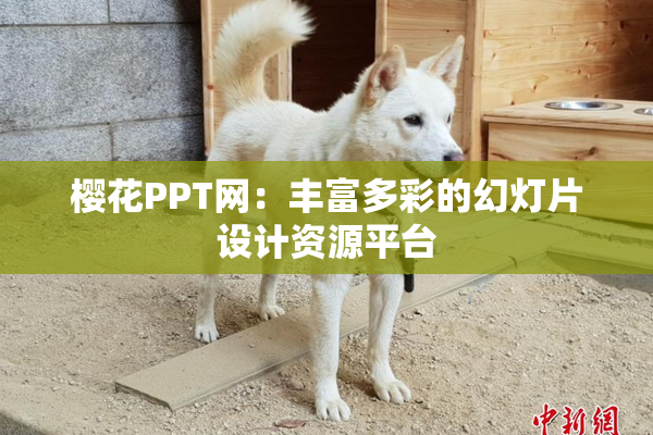 樱花PPT网：丰富多彩的幻灯片设计资源平台