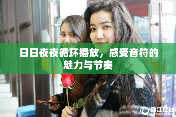 日日夜夜循环播放，感受音符的魅力与节奏