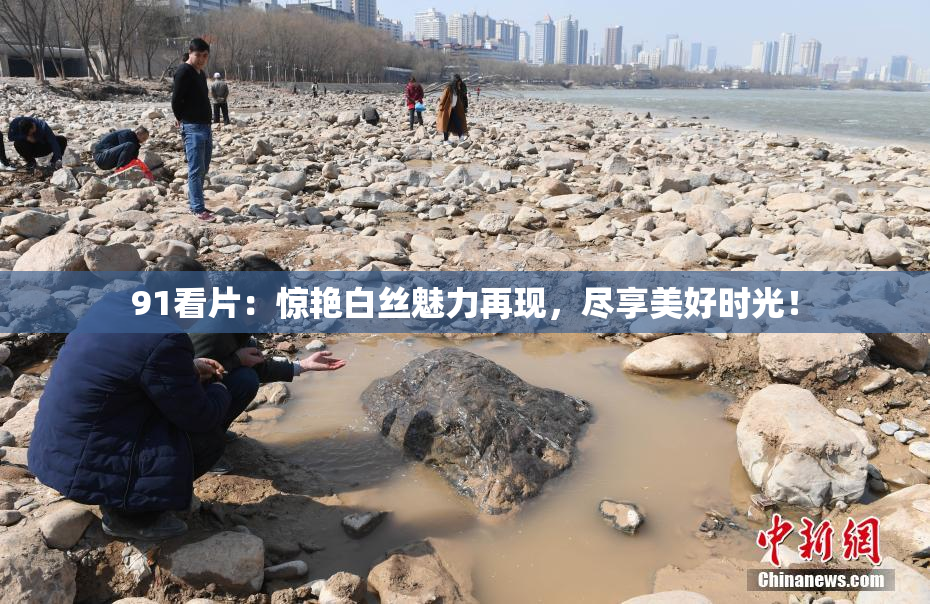 91看片：惊艳白丝魅力再现，尽享美好时光！