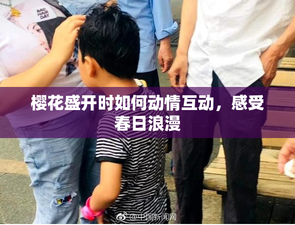 樱花盛开时如何动情互动，感受春日浪漫