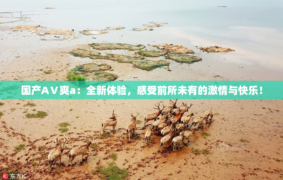 国产AⅤ爽a：全新体验，感受前所未有的激情与快乐！