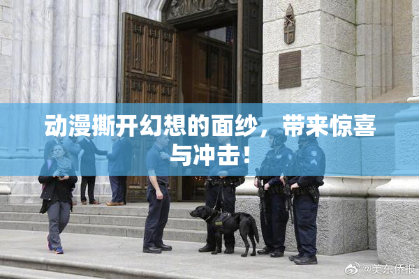 动漫撕开幻想的面纱，带来惊喜与冲击！