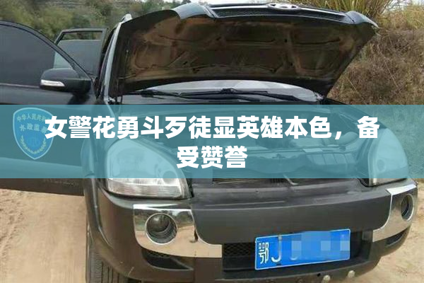 女警花勇斗歹徒显英雄本色，备受赞誉