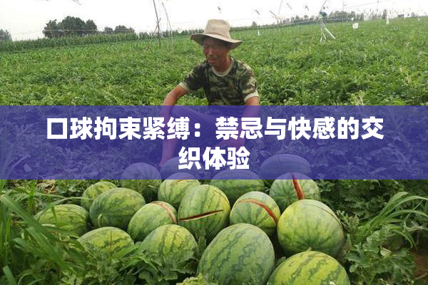 口球拘束紧缚：禁忌与快感的交织体验