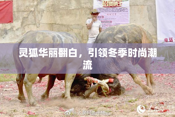 灵狐华丽翻白，引领冬季时尚潮流