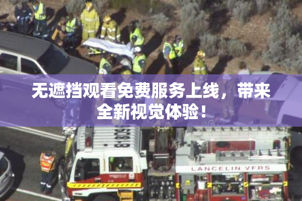 无遮挡观看免费服务上线，带来全新视觉体验！