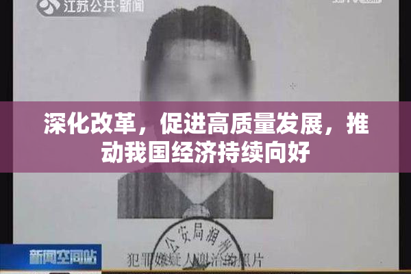 深化改革，促进高质量发展，推动我国经济持续向好