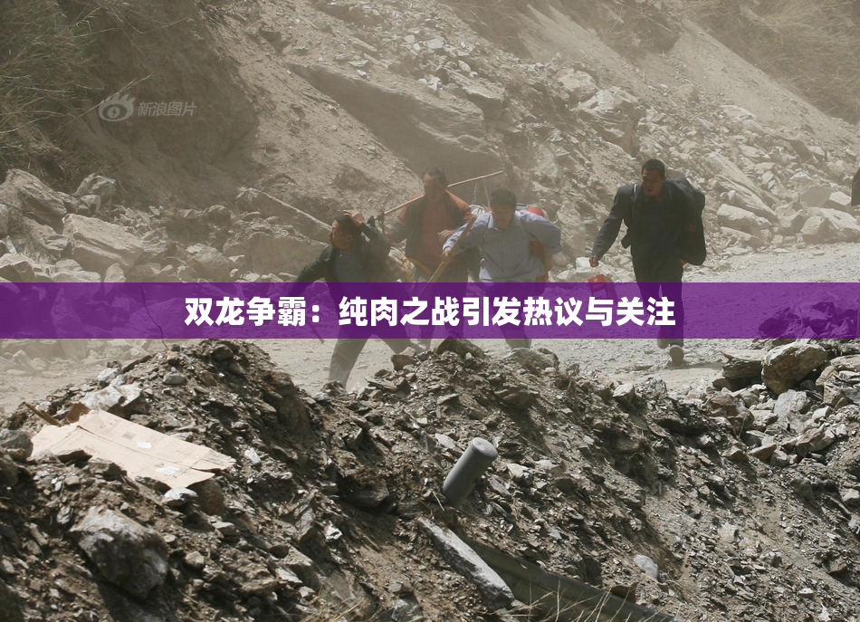 双龙争霸：纯肉之战引发热议与关注