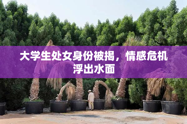 大学生处女身份被揭，情感危机浮出水面