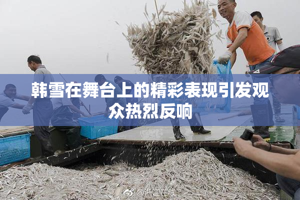 韩雪在舞台上的精彩表现引发观众热烈反响