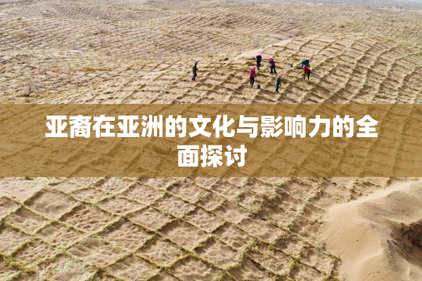 亚裔在亚洲的文化与影响力的全面探讨