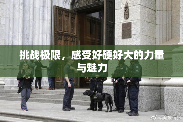 挑战极限，感受好硬好大的力量与魅力