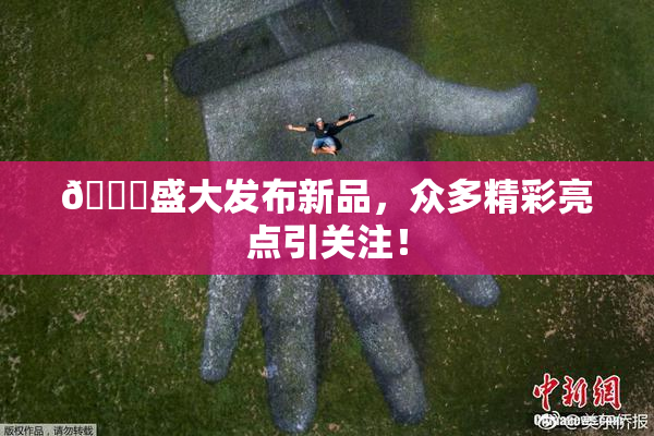 🔞盛大发布新品，众多精彩亮点引关注！