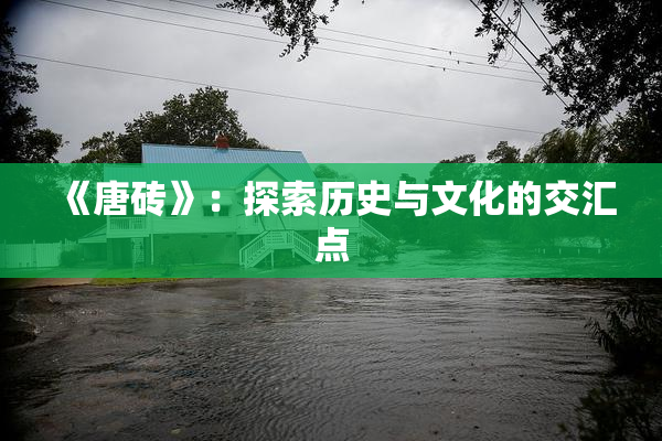 《唐砖》：探索历史与文化的交汇点