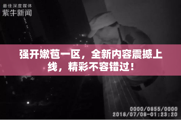强开嫩苞一区，全新内容震撼上线，精彩不容错过！