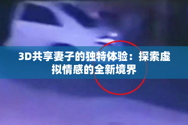 3D共享妻子的独特体验：探索虚拟情感的全新境界