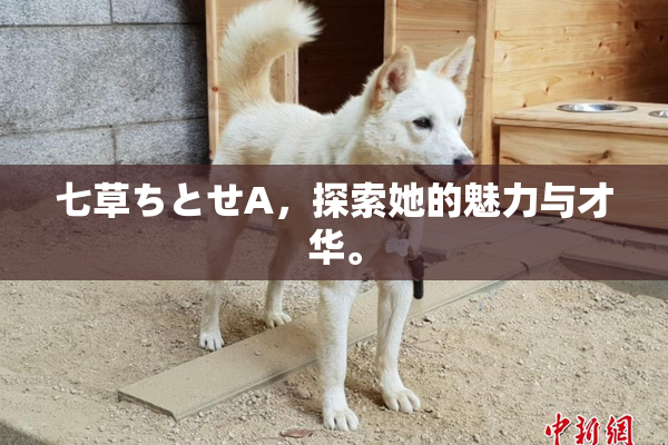 七草ちとせA，探索她的魅力与才华。