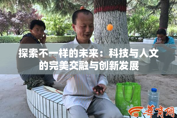 探索不一样的未来：科技与人文的完美交融与创新发展