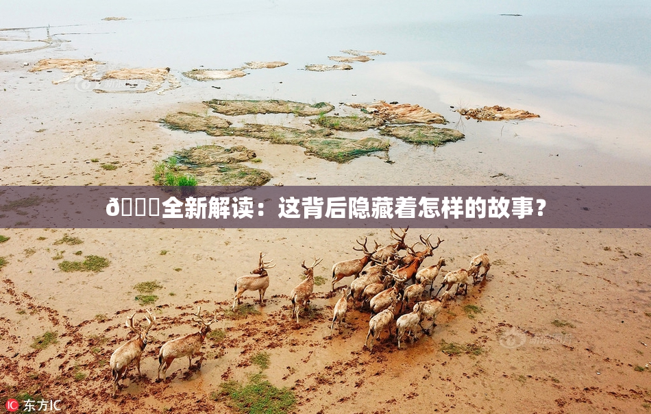 🈚全新解读：这背后隐藏着怎样的故事？