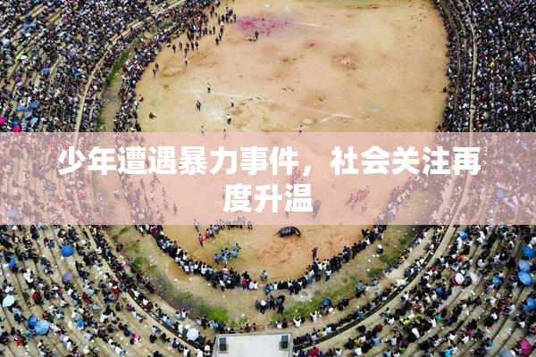 少年遭遇暴力事件，社会关注再度升温