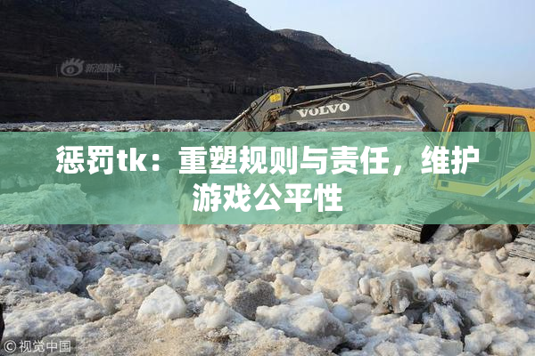 惩罚tk：重塑规则与责任，维护游戏公平性