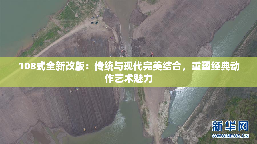 108式全新改版：传统与现代完美结合，重塑经典动作艺术魅力