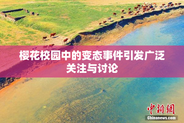 樱花校园中的变态事件引发广泛关注与讨论