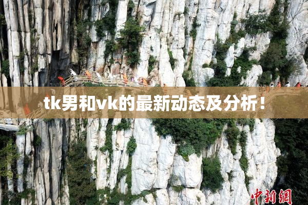 tk男和vk的最新动态及分析！