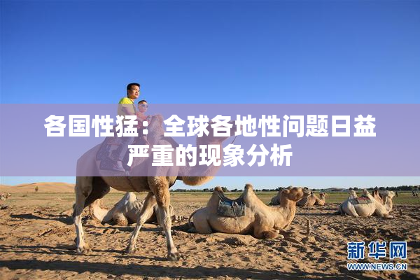 各国性猛：全球各地性问题日益严重的现象分析