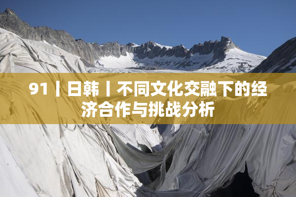 91丨日韩丨不同文化交融下的经济合作与挑战分析