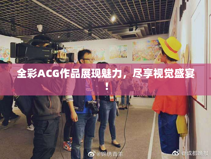全彩ACG作品展现魅力，尽享视觉盛宴！