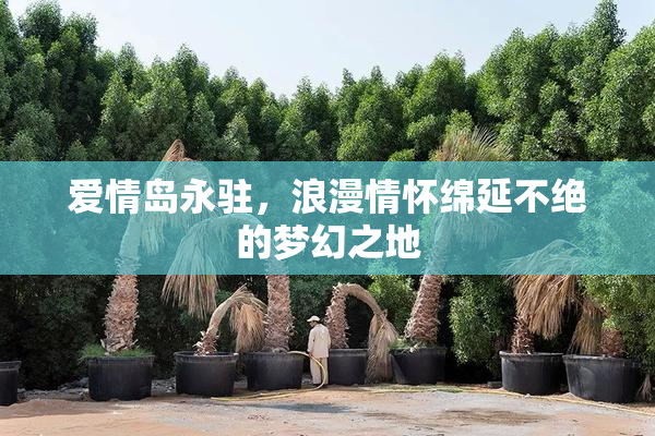 爱情岛永驻，浪漫情怀绵延不绝的梦幻之地