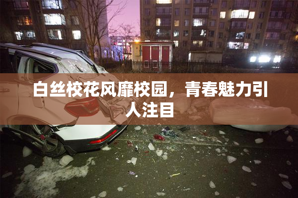白丝校花风靡校园，青春魅力引人注目