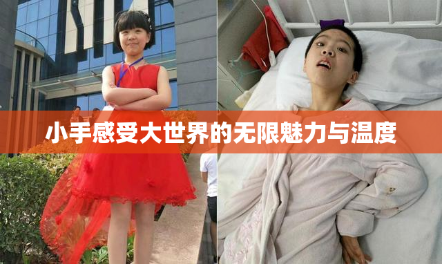 小手感受大世界的无限魅力与温度